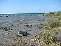 Western Michigan [2010] 836
